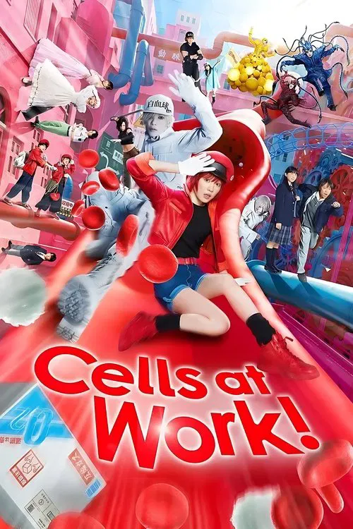 Cells at Work!